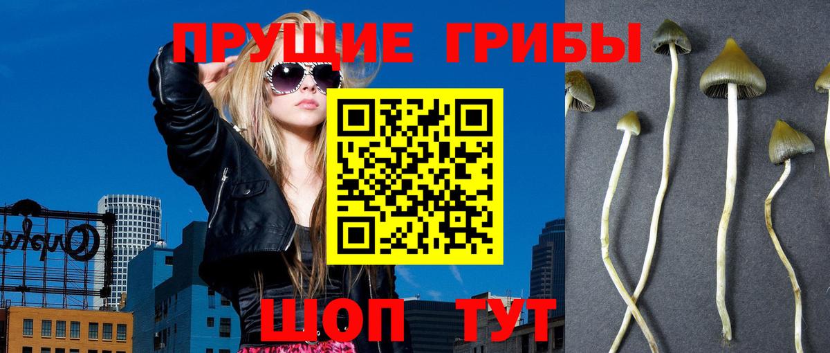 Волгодонск  Псилоцибиновые грибы ЛСД  Галлюциногенные грибы Cubensis  Вход с VPN 